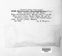 Image Associated With the Occurence